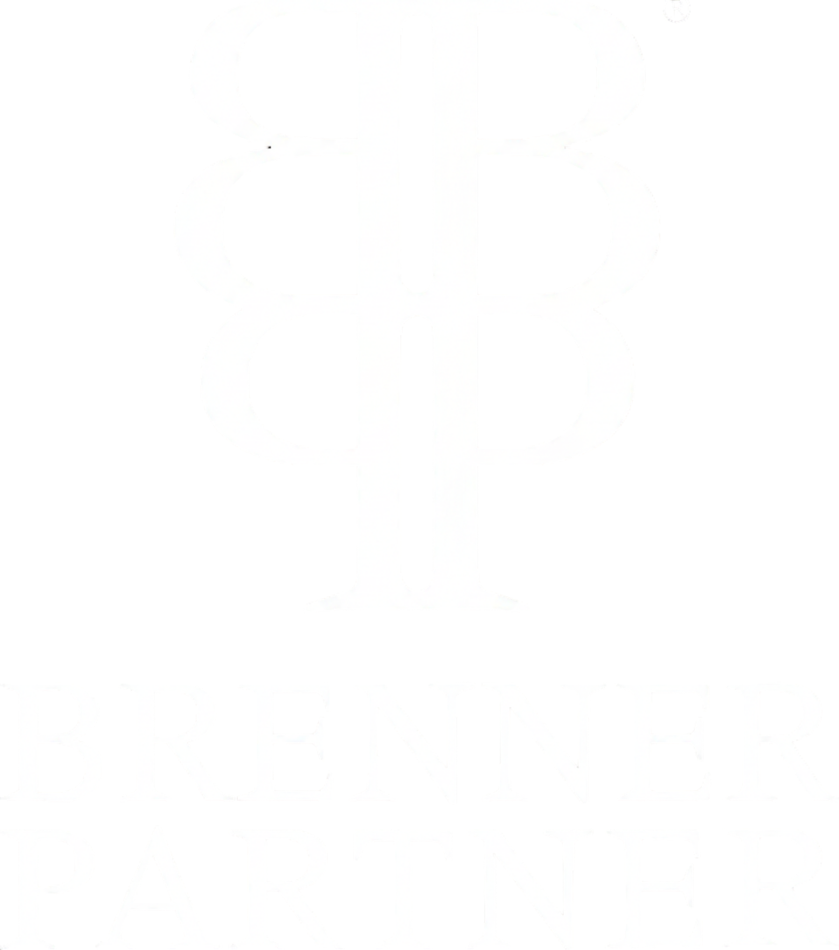 Brenner & Partner